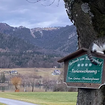 Plombergbauer Апартаменты