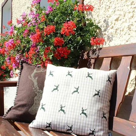 Plombergbauer شقة سانكت جيلجن