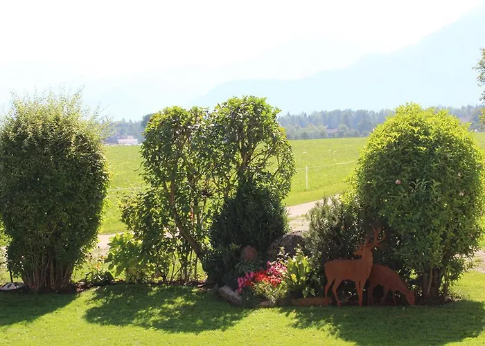 Plombergbauer דירה *